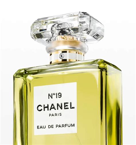 chanel no 19 perfume reviews|chanel no 19 price.